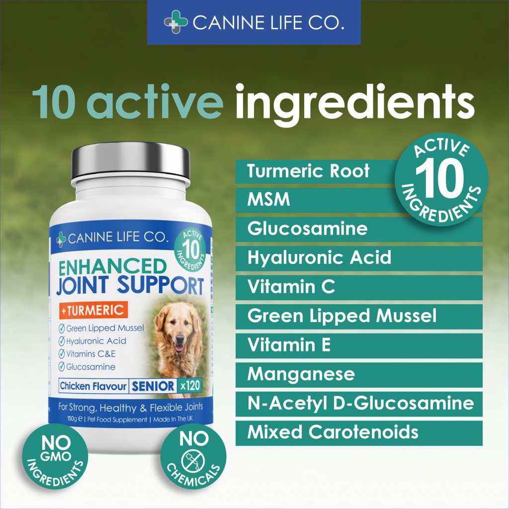 Senior Dog Joint Supplement for Older Dogs Aged 8+ 120 Chewable Tablets
