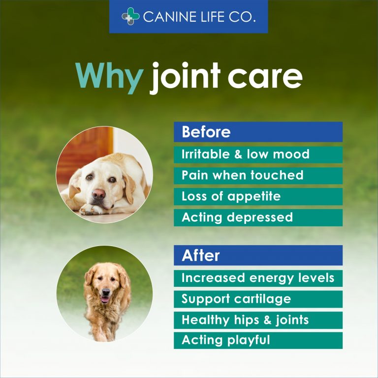 Senior Dog Joint Supplement for Older Dogs Aged 8+ 120 Chewable Tablets