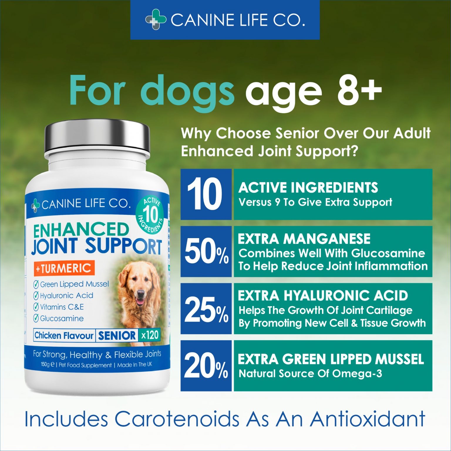 Senior Dog Joint Supplement for Older Dogs Aged 8+ 120 Chewable Tablets