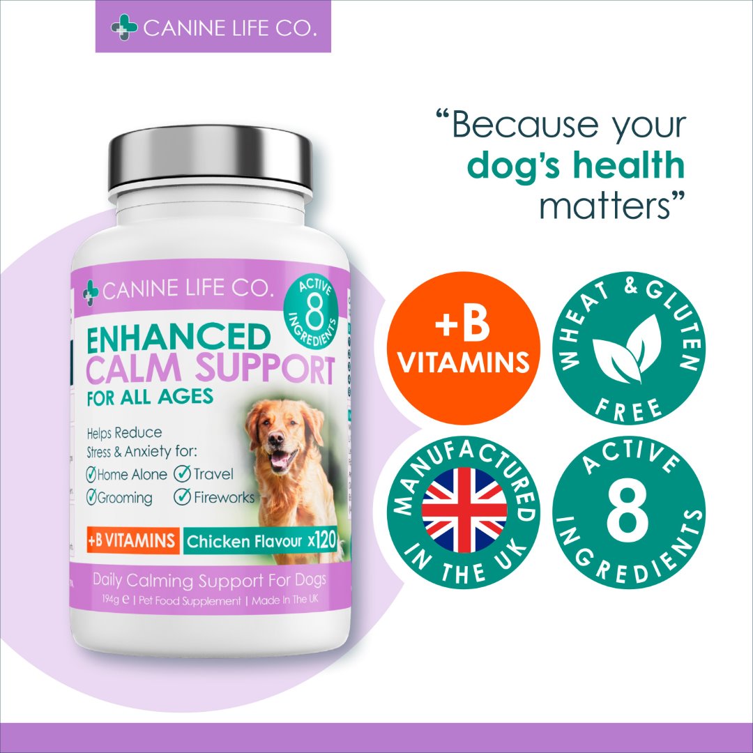 Enhanced Calm Support For All Ages Dog Calming Tablets 120 Chewable