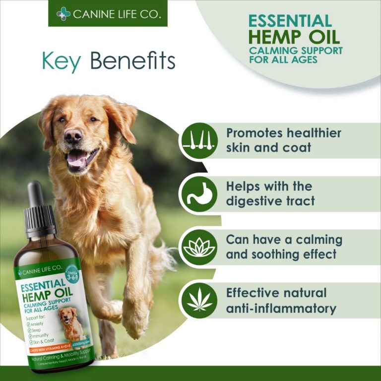 Dosage Of Hemp Oil For Dogs Hemp Oil for Dogs - What are the Benefits? - Canine Life Co.