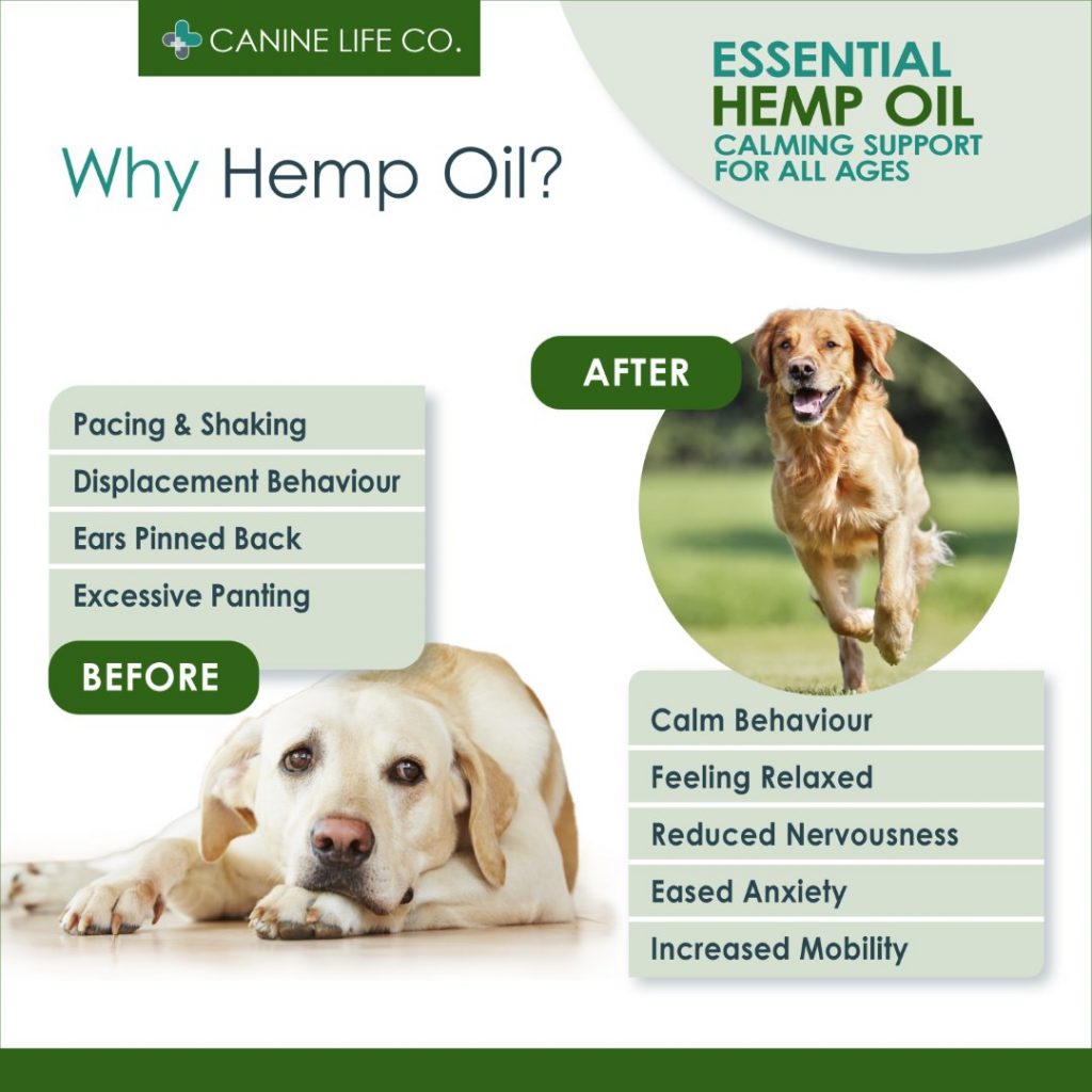 Benefits Of Hemp Oil For Dogs Hemp Oil For Dogs | 100% Natural Calming Dog Supplement
