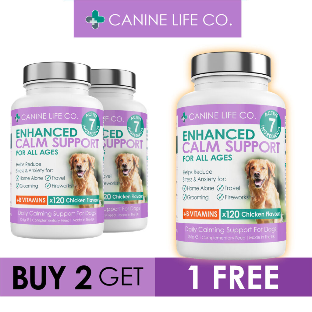 Enhanced Calm Support For All Ages Dog Calming Tablets 120 Chewable