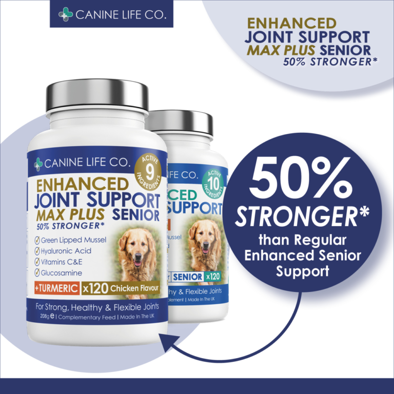 Senior Max Plus High Strength Joint Supplement for Older Dogs – 120 ...