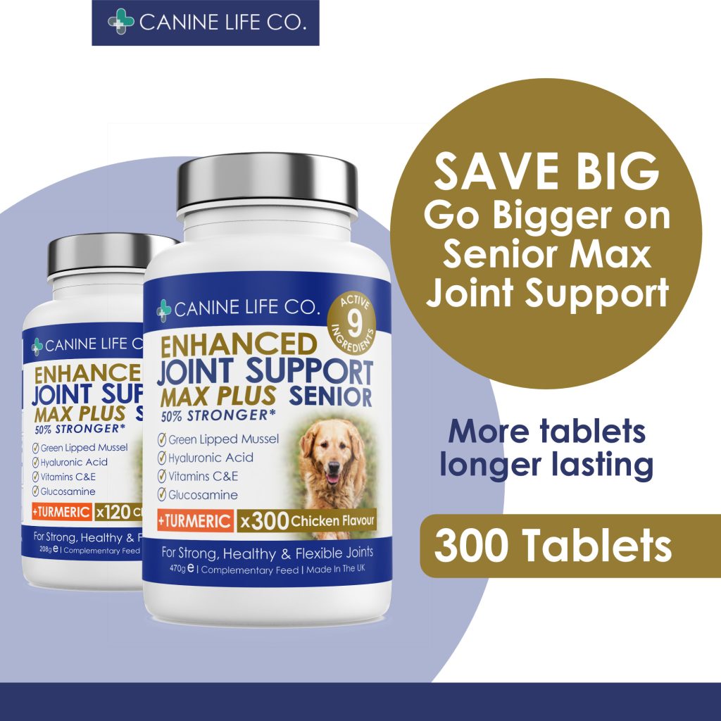 Senior Max Plus High Strength Joint Supplement for Older Dogs – 120 ...
