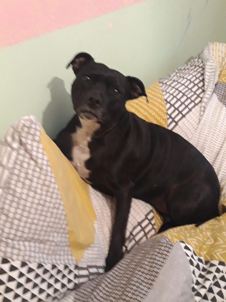 FB IMG 1761956639493