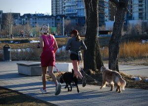 Running With Your Dog