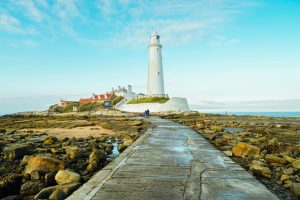 The Best Dog-Friendly Beaches in the UK (Your Complete Guide) 4 Whitley Bay