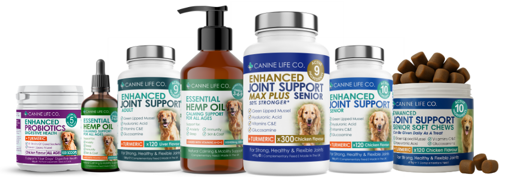 canine wen new hero banner apr26v2