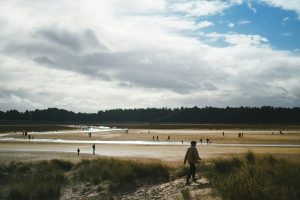 The Best Dog-Friendly Beaches in the UK (Your Complete Guide) 3 holkham beach
