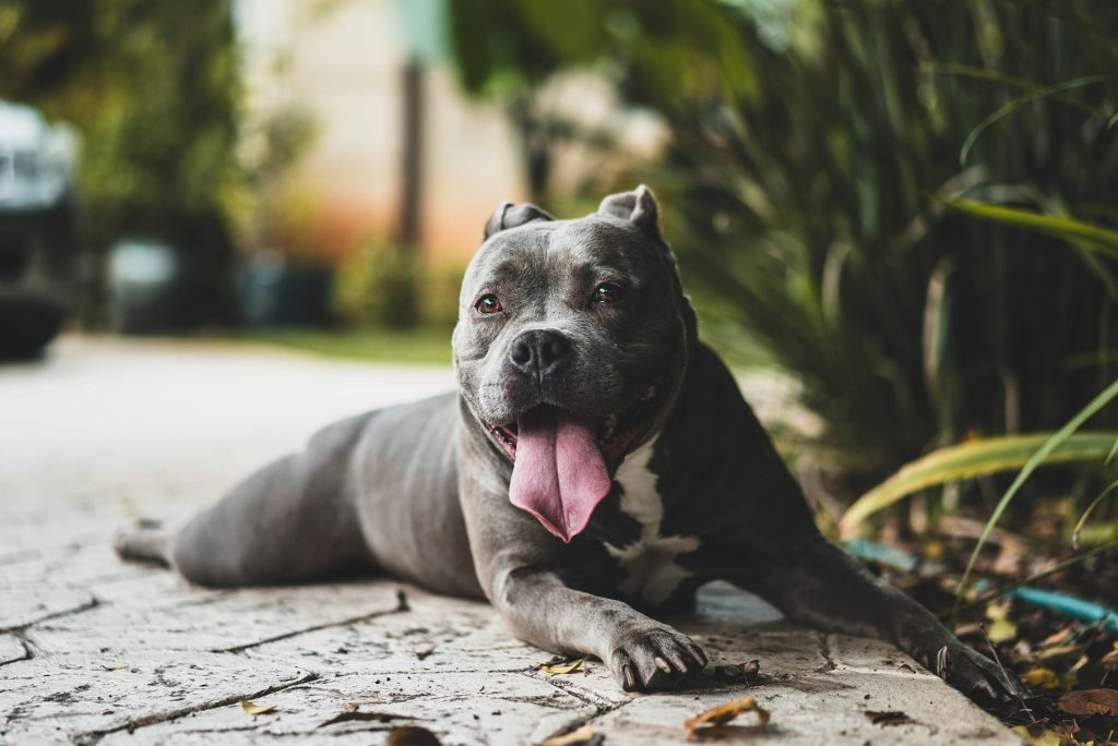 christopher ayme ocZ Y7 Ptg unsplash